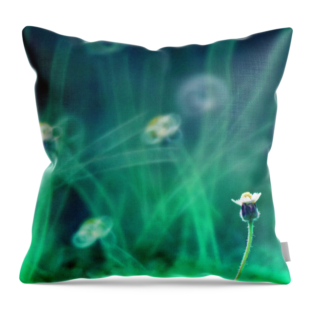 Tanzania Throw Pillow featuring the photograph Wild Flowers In Garden by Twomeows
