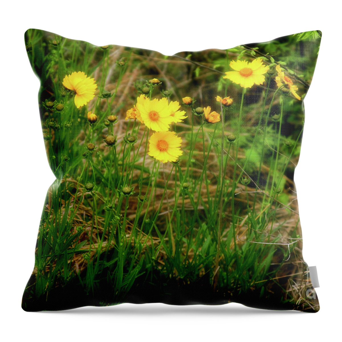 Wild Flowers Throw Pillow featuring the photograph Wild Flowers by Joan Bertucci