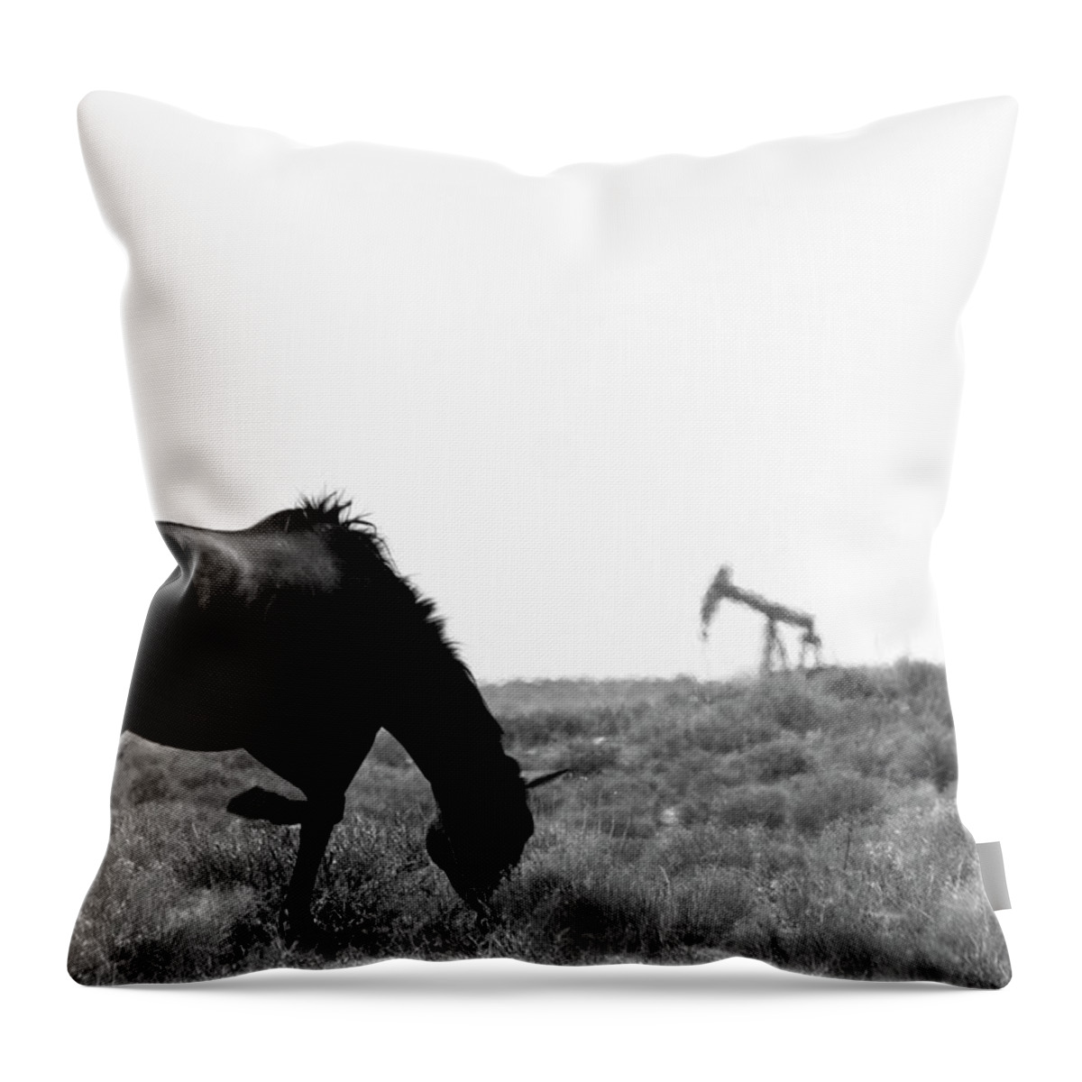 Horse Throw Pillow featuring the photograph Wild Horse at Aneth by Jonathan Thompson