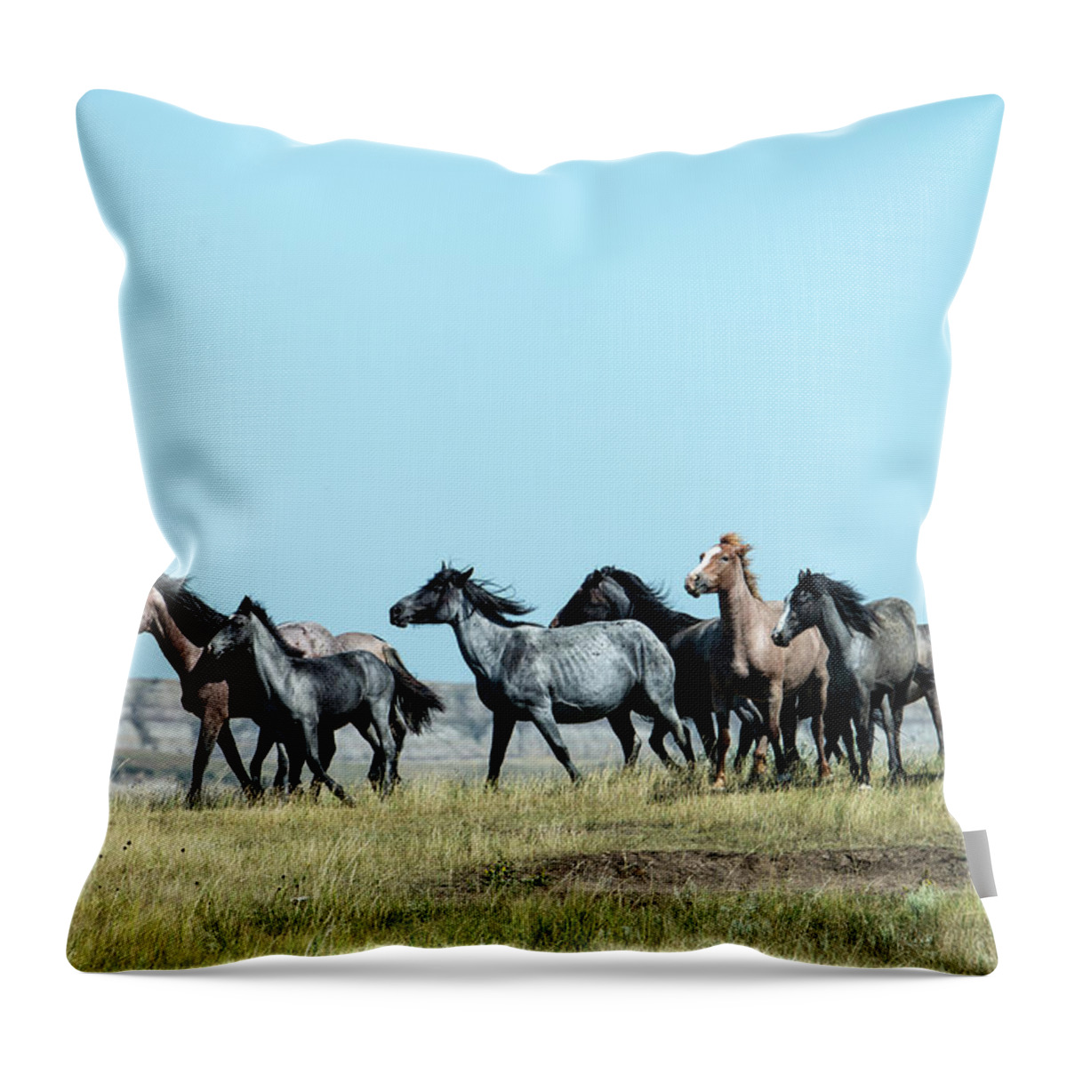 Horse Throw Pillow featuring the photograph Wild Horse In Theodore Roosevelt Natl by Mark Newman