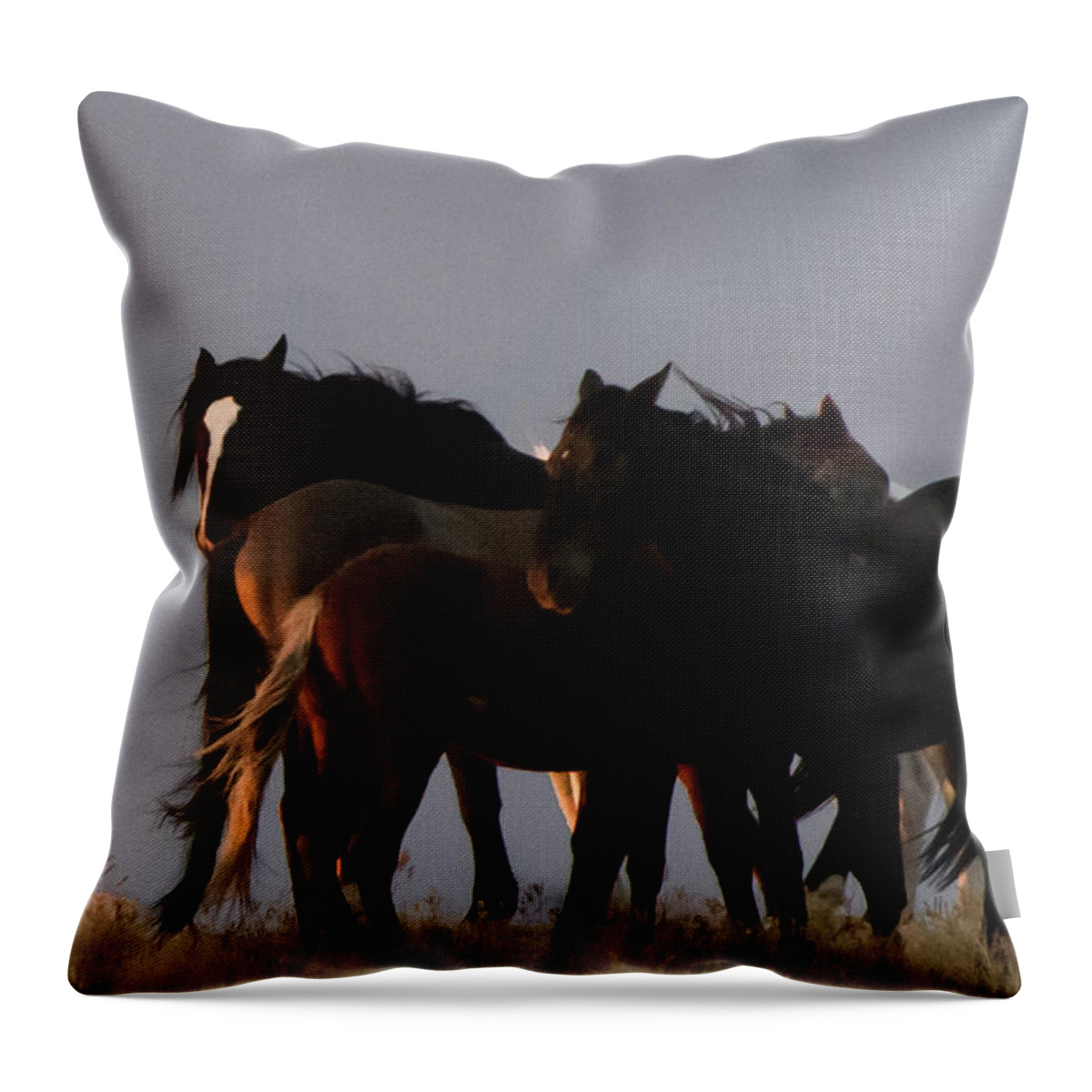 Wild Horse Throw Pillow featuring the photograph Wild Horses in Ute Country #3 by Jonathan Thompson