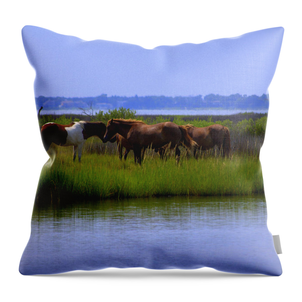 Horse Throw Pillow featuring the photograph Wild Horses Of Assateague Island by Robin Houde Photography