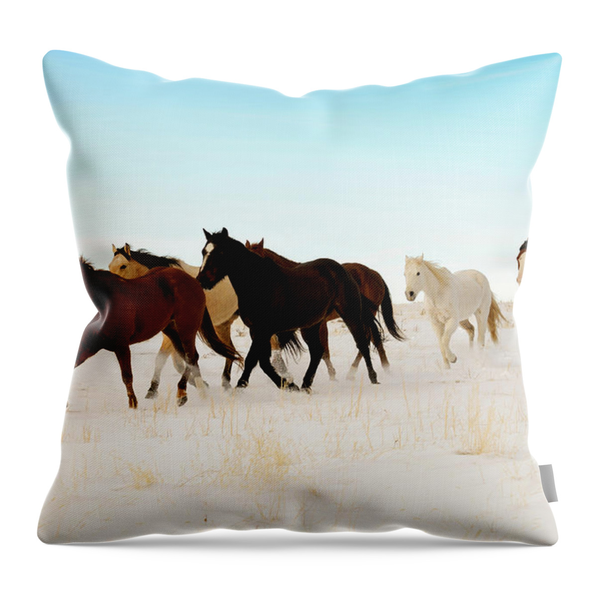 Horse Throw Pillow featuring the photograph Wild Horses Running Across A Snowy by Lifejourneys