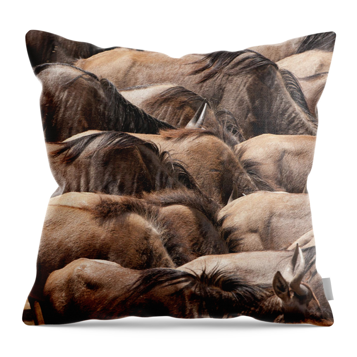 Kenya Throw Pillow featuring the photograph Wildebeests, Kenya by Mint Images/ Art Wolfe