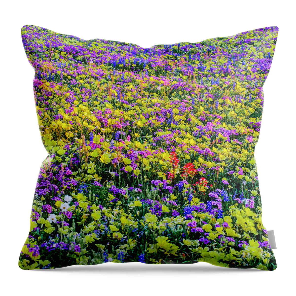 Texas Bluebonnets Throw Pillow featuring the photograph Wildflower Bliss by Johnny Boyd