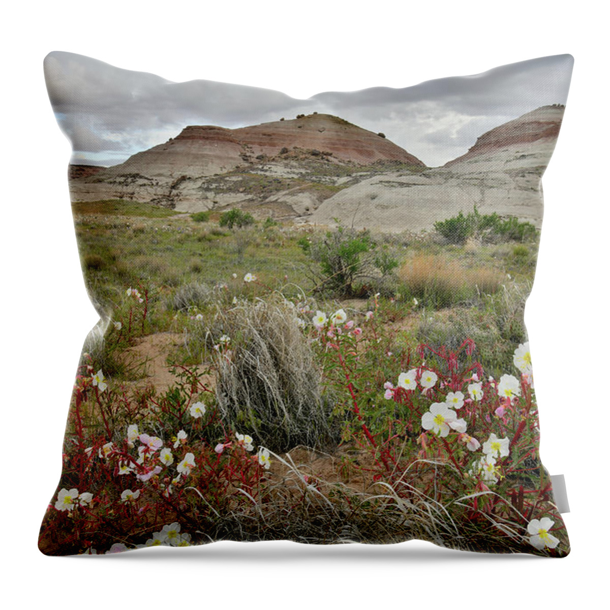 Ruby Mountain Throw Pillow featuring the photograph Wildflower Prairie at Ruby Mountain by Ray Mathis
