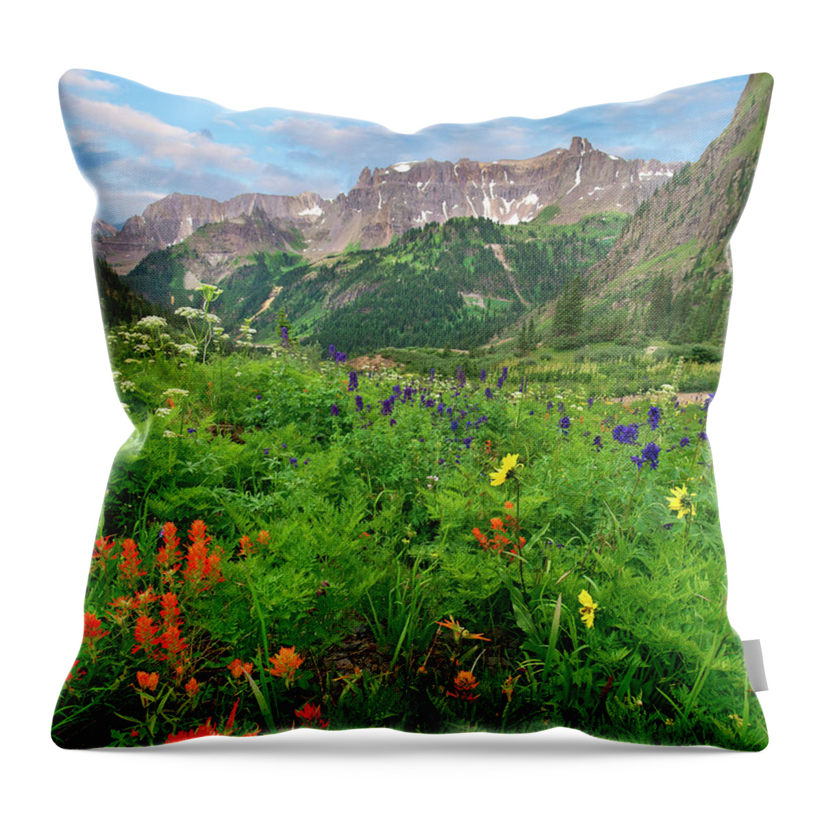 00555618 Throw Pillow featuring the photograph Wildflowers In Yankee Boy Basin, San Juan Mts, Colorado by Tim Fitzharris