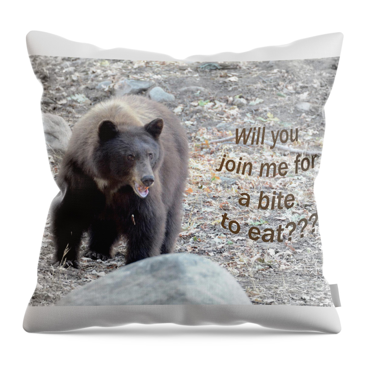 Pun Throw Pillow featuring the photograph Will You Join Me by Debby Pueschel
