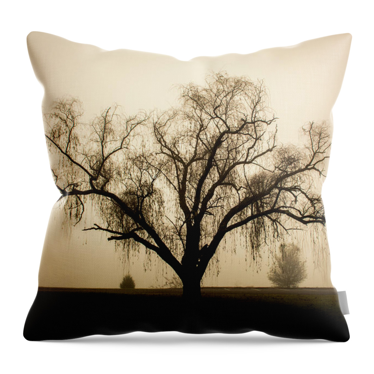 Willow Throw Pillow featuring the photograph Willow in Fog by Douglas Wielfaert