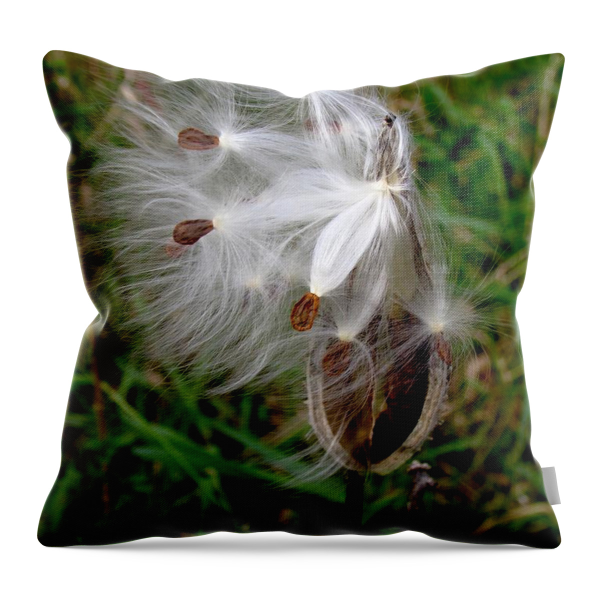 Milkweed Throw Pillow featuring the photograph Wind Dancers by Pamela Clements