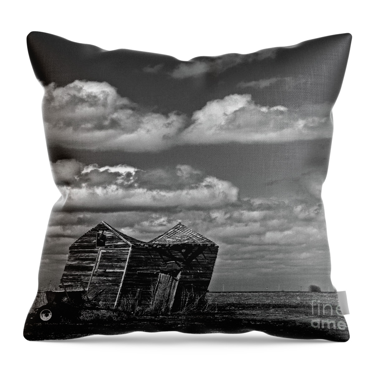 Kansas Throw Pillow featuring the photograph Windblown by Tiffany Whisler