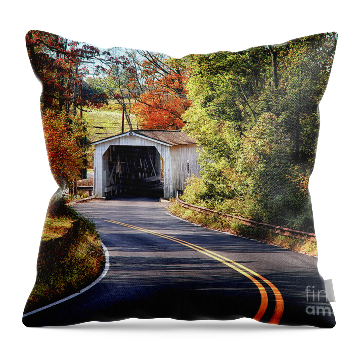 Covered Throw Pillow featuring the photograph Winding Autumn Road to Green Sergeant's Covered Bridge by Mark Miller