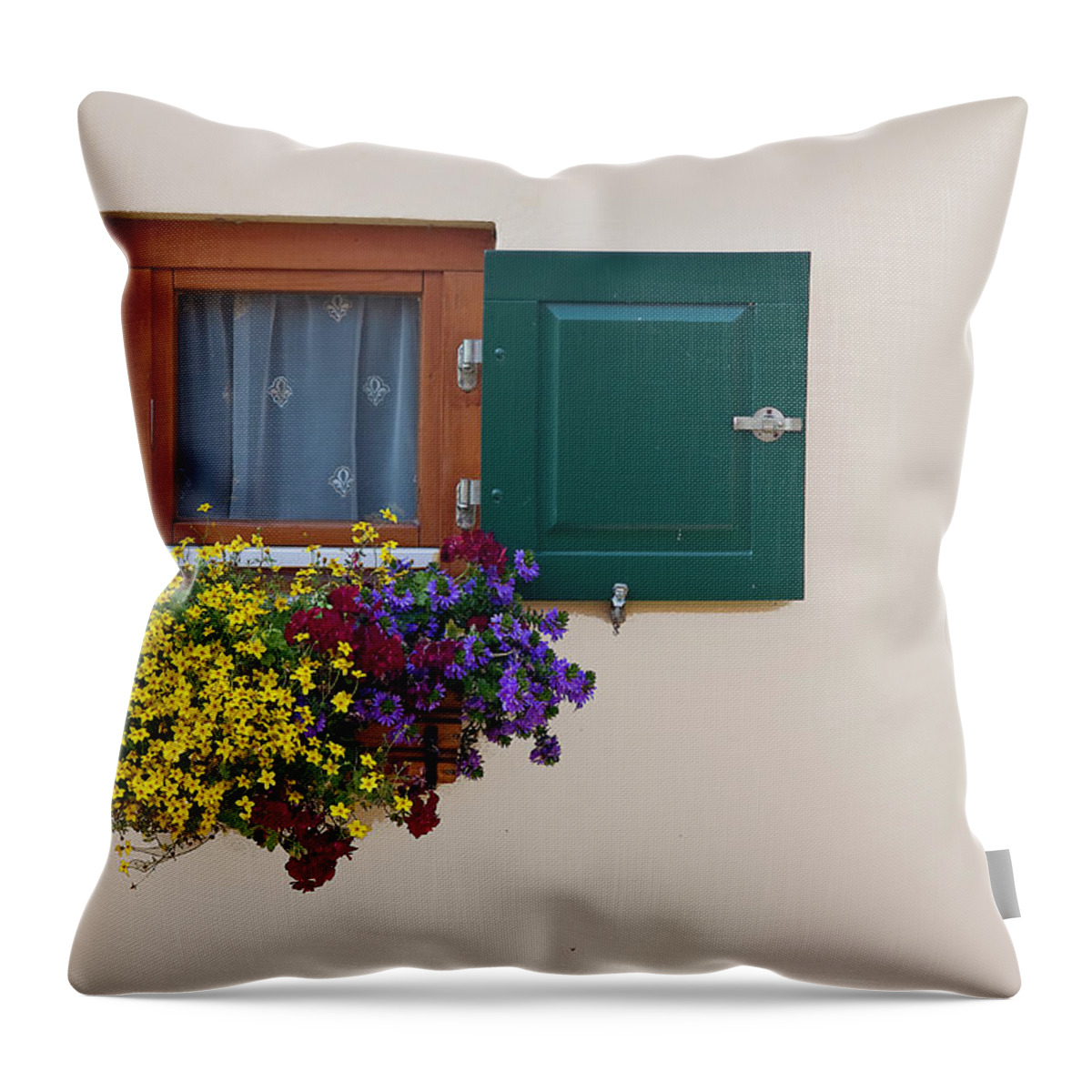 Outdoors Throw Pillow featuring the photograph Window With Flowers by Enzo D.