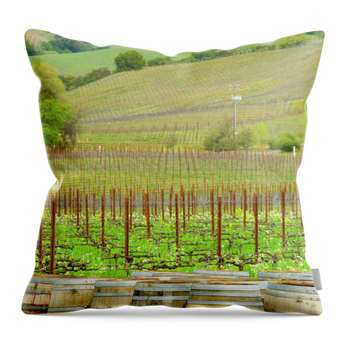 California Throw Pillow featuring the photograph Wine Barrels At The Spring Time Vinyard by Alina555