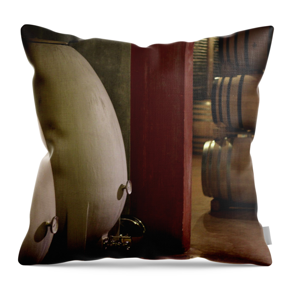Aging Process Throw Pillow featuring the photograph Wine Cellar by Tom And Steve