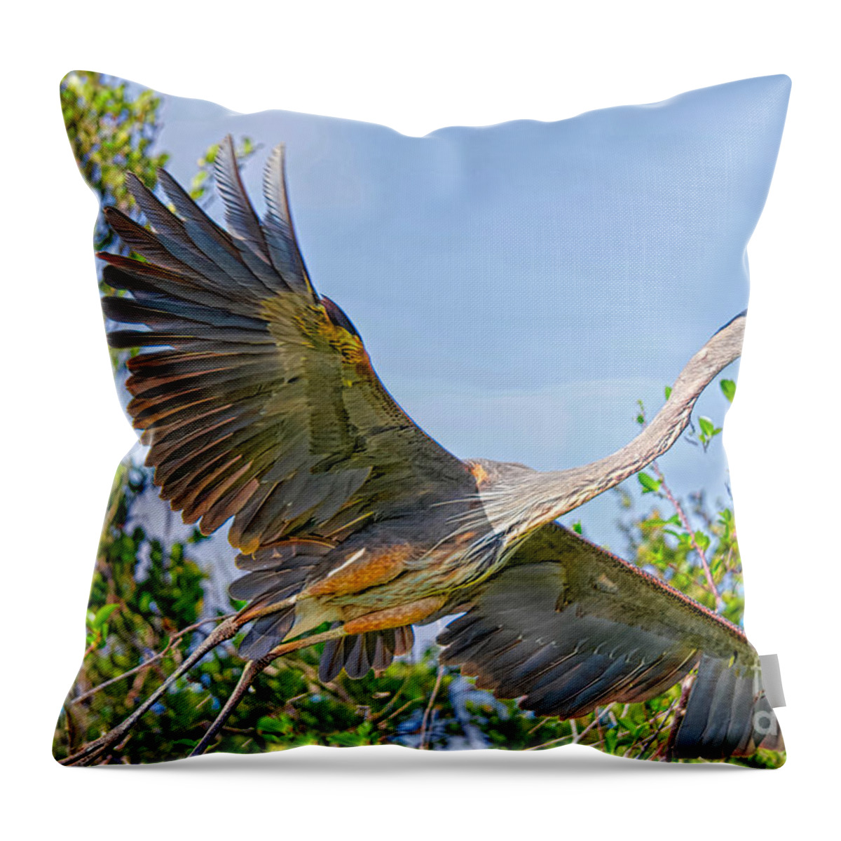 Coastal Birds Throw Pillow featuring the photograph Wing'n It by Judy Kay