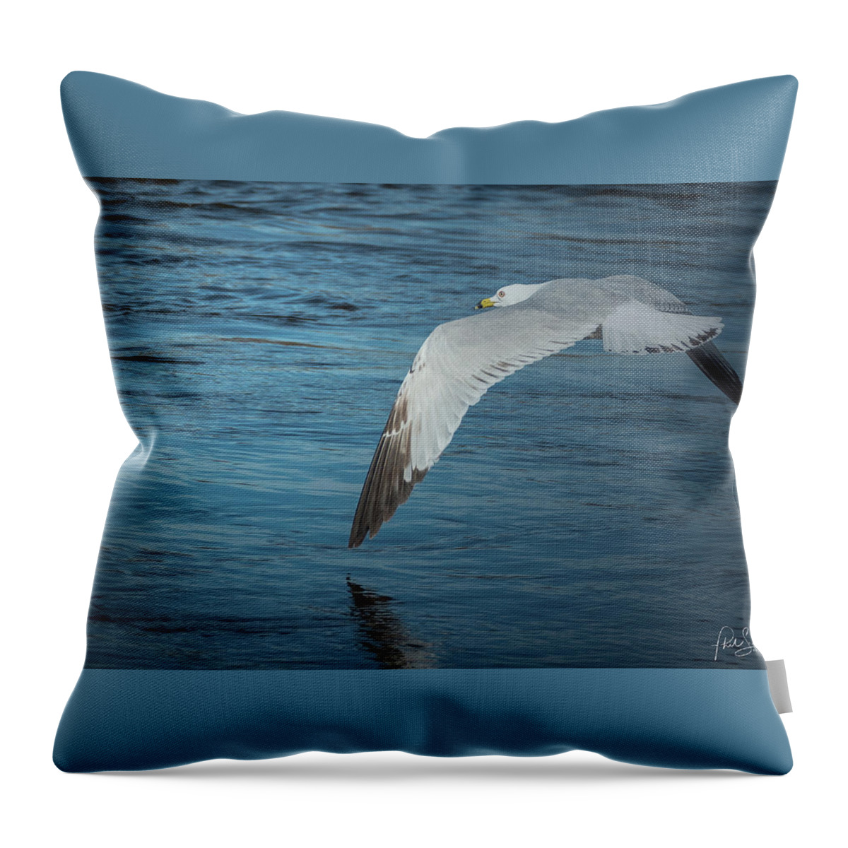 Wing Throw Pillow featuring the photograph Wingtip Over Water by Phil S Addis