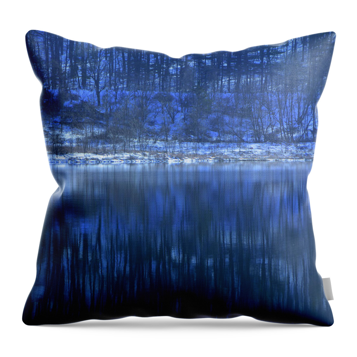 Winter At Round Valley Throw Pillow featuring the photograph Winter at Round Valley by Raymond Salani III