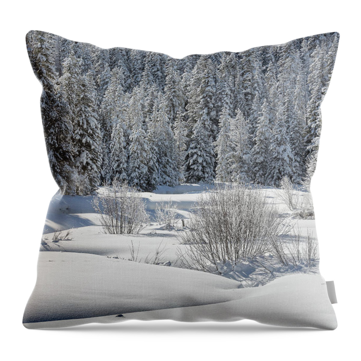 Yellowstone National Park Throw Pillow featuring the photograph Winter At Warm Creek by Ann Skelton