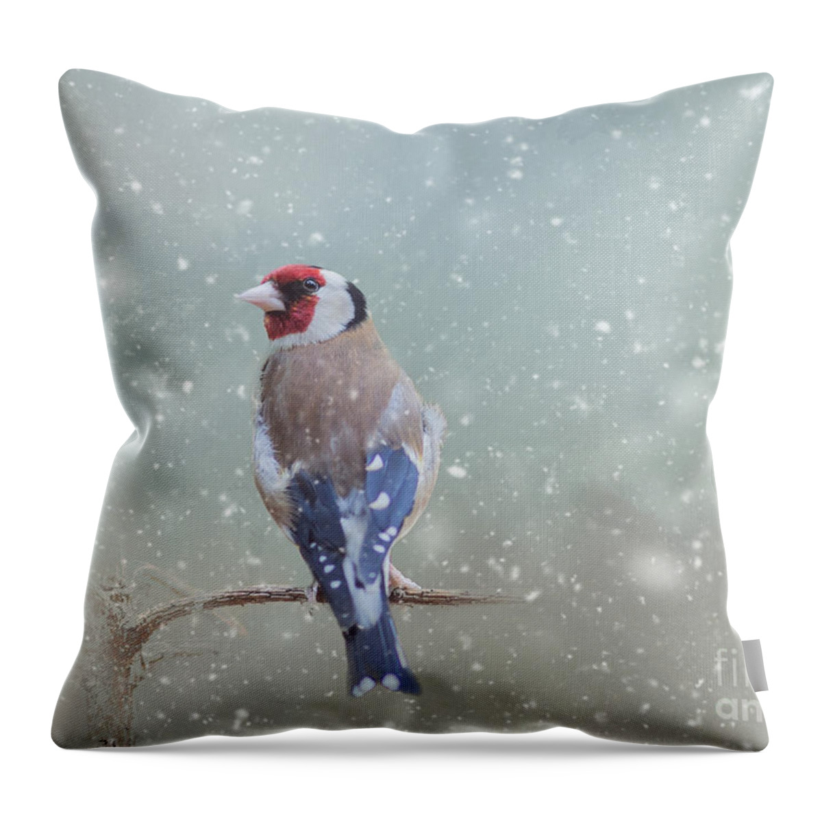 Winter Throw Pillow featuring the mixed media Winter Bird by Eva Lechner