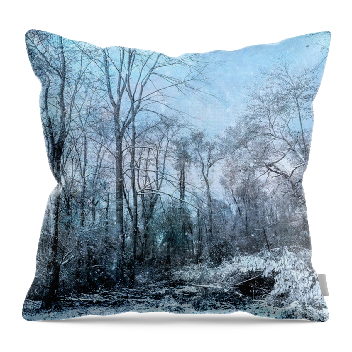 Winter Throw Pillow featuring the photograph Winter Blues by John Rivera