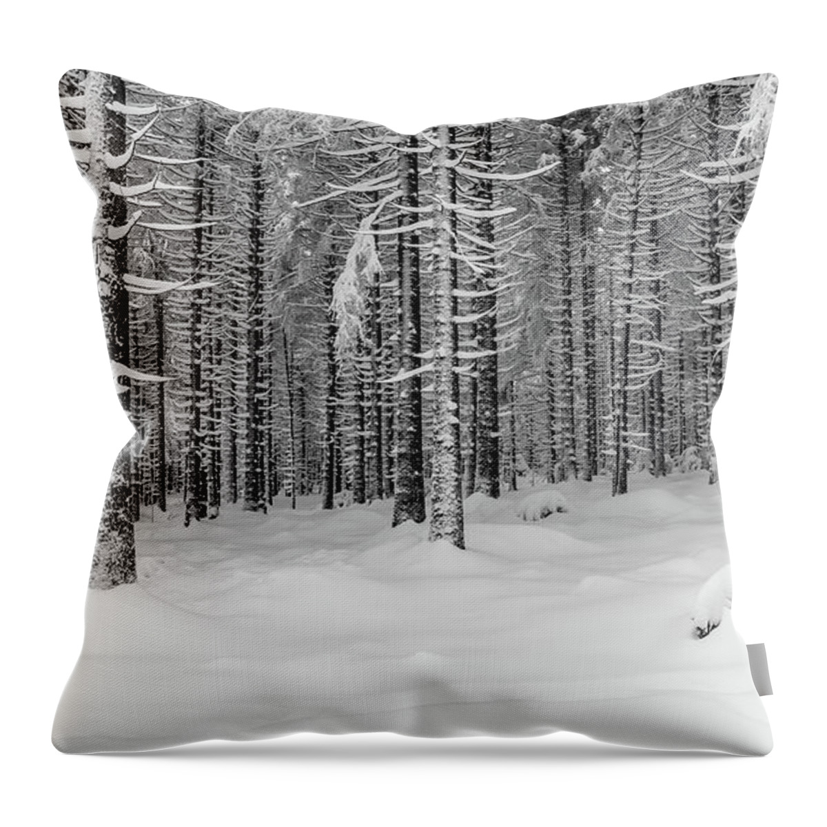 Photography Throw Pillow featuring the photograph winter forest, Harz by Andreas Levi
