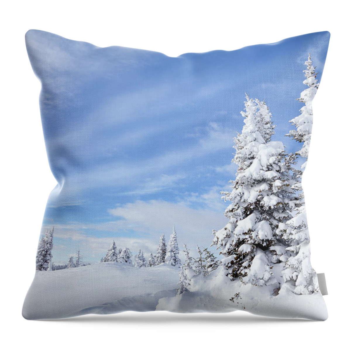 Scenics Throw Pillow featuring the photograph Winter Forest by Kencanning
