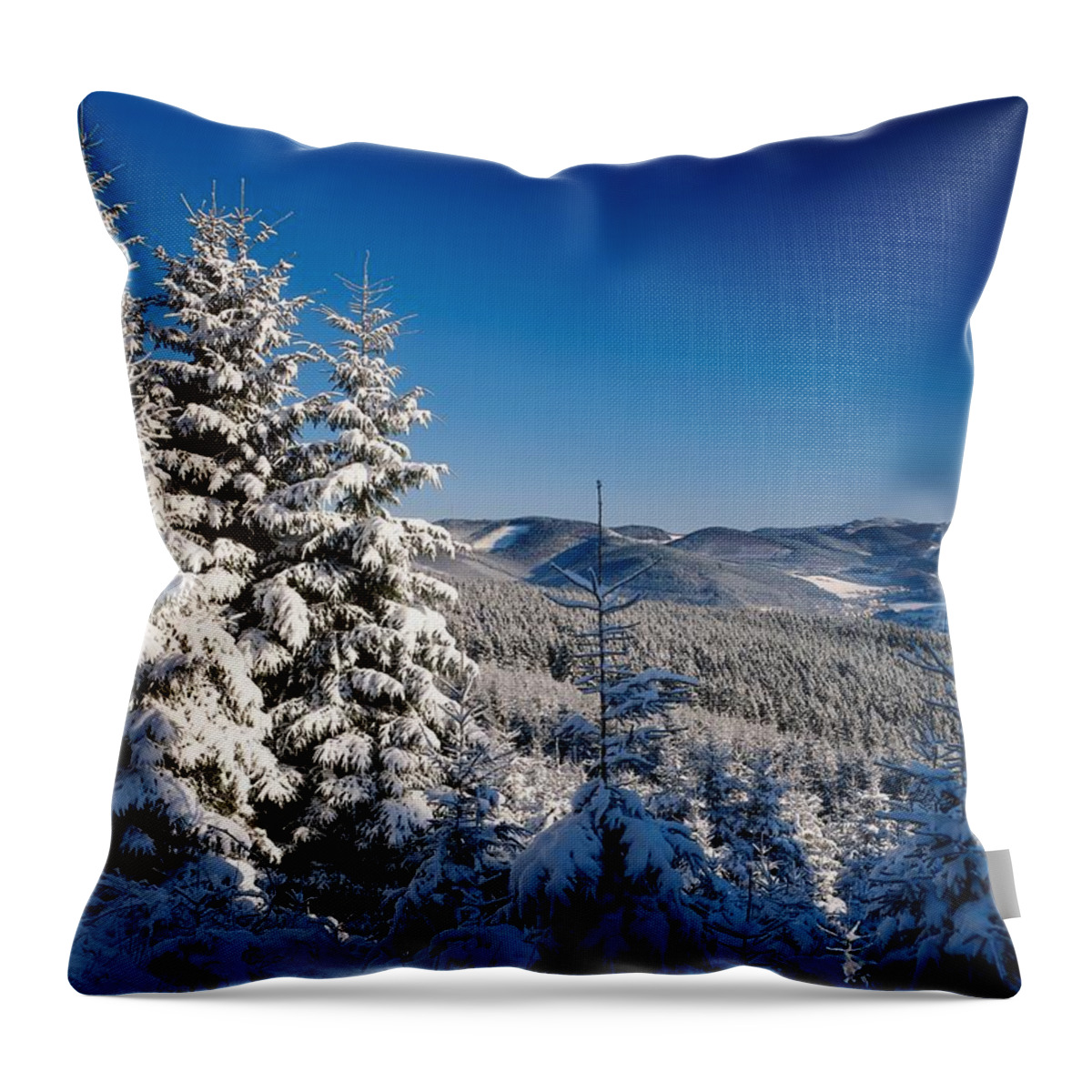 Estock Throw Pillow featuring the digital art Winter Landscape, Westphalia, Germany by Holger Klaes
