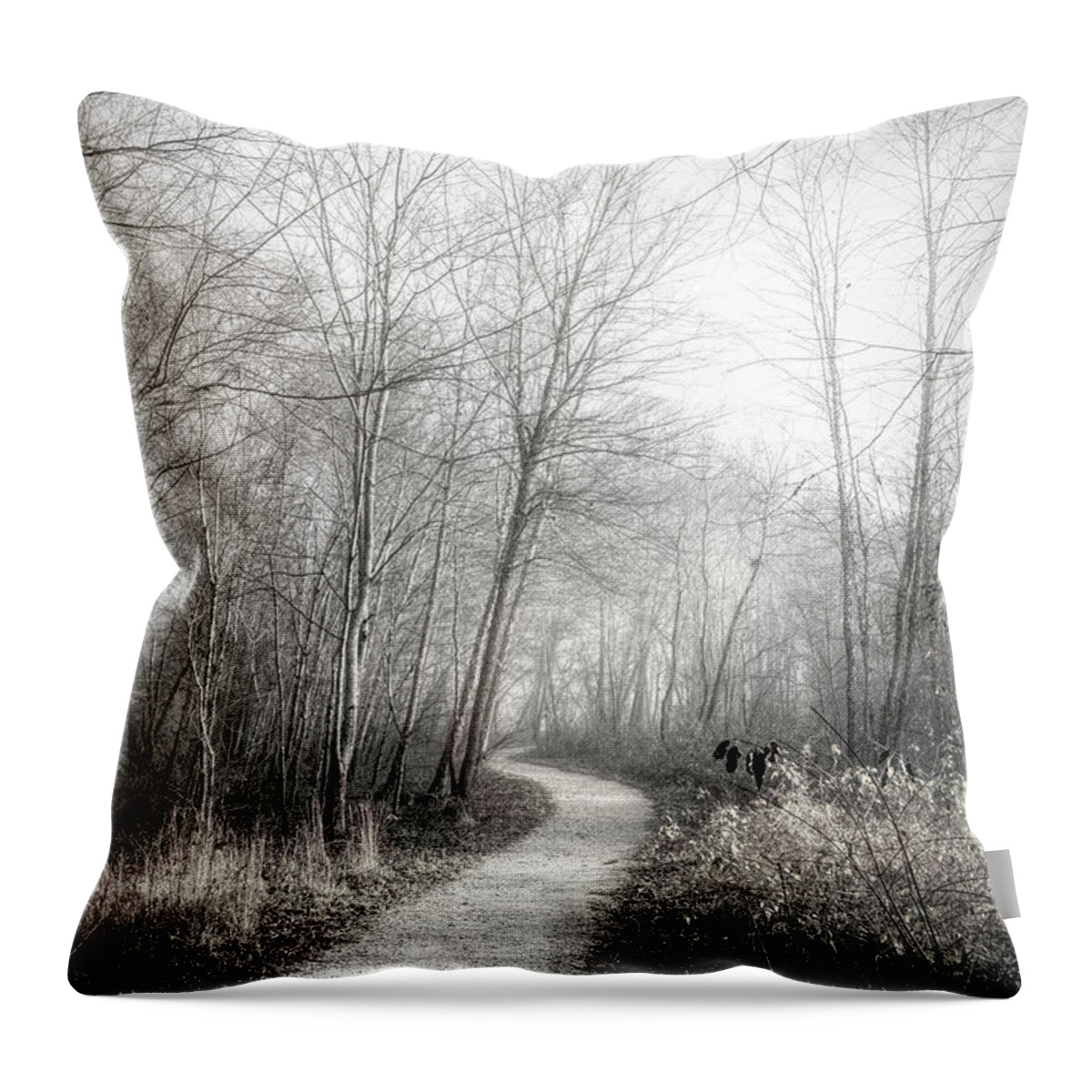 Carolina Throw Pillow featuring the photograph Winter Light in Black and White by Debra and Dave Vanderlaan