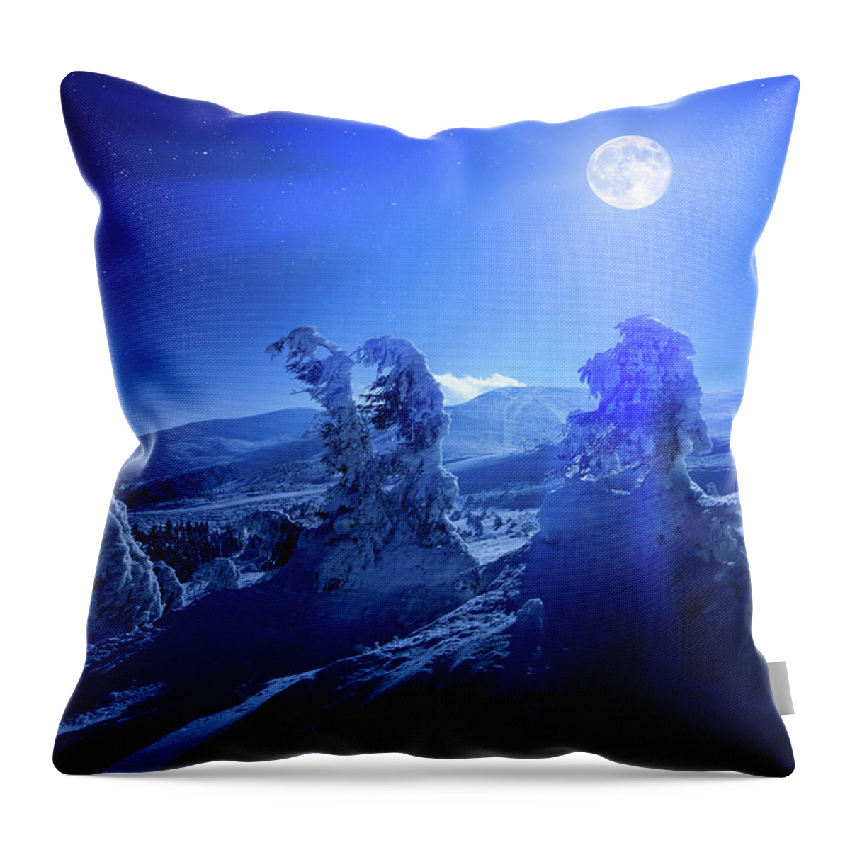 Cool Attitude Throw Pillow featuring the photograph Winter Moon by Yourapechkin