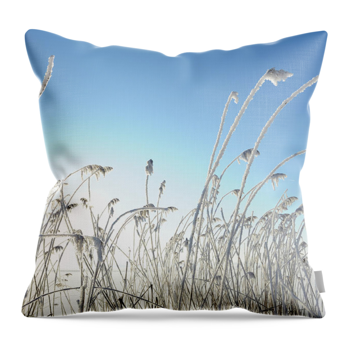 Scenics Throw Pillow featuring the photograph Winter Reeds by Nikitje
