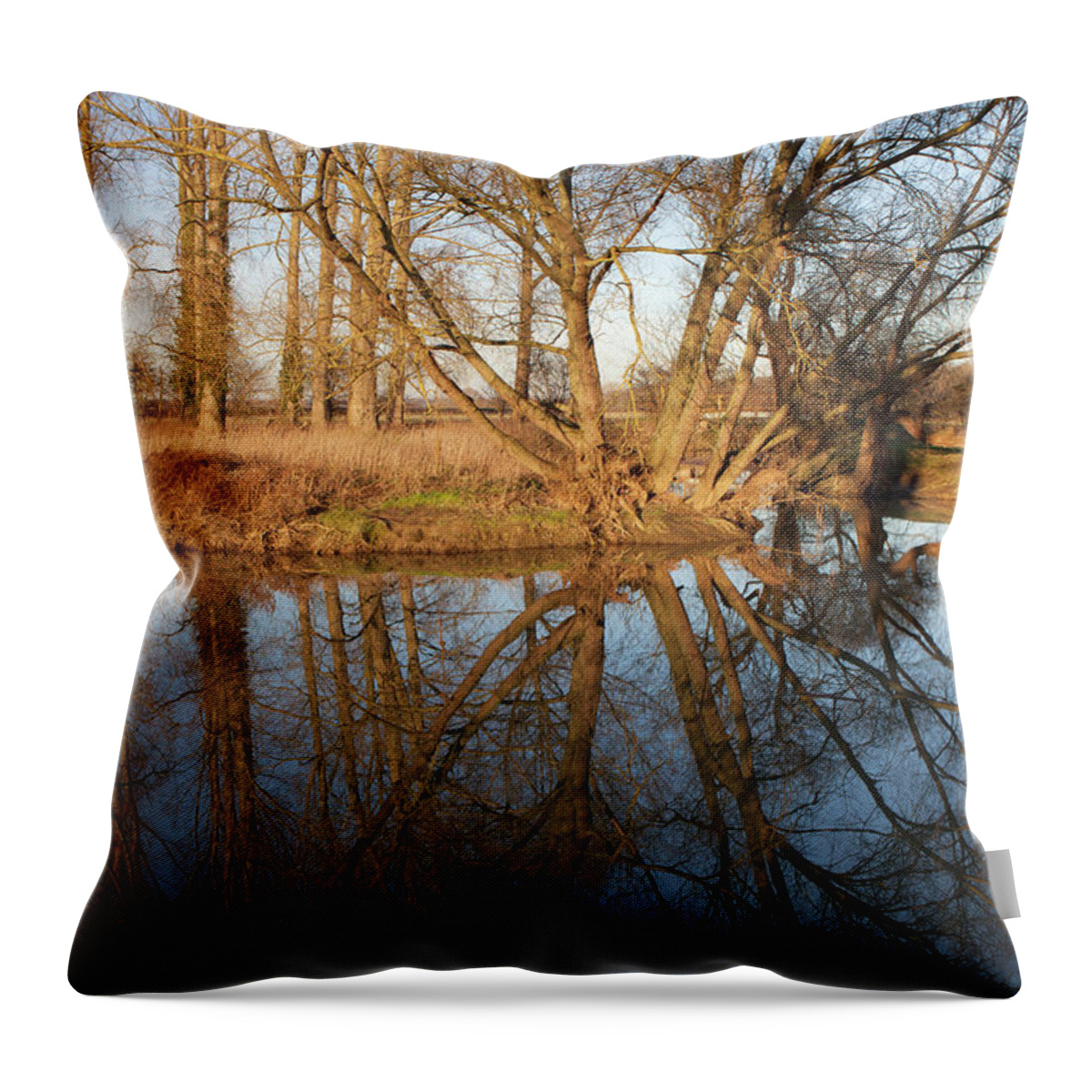 Black Dyke Throw Pillow featuring the photograph Winter reflections, Black Dyke, Peterborough by Nick Atkin
