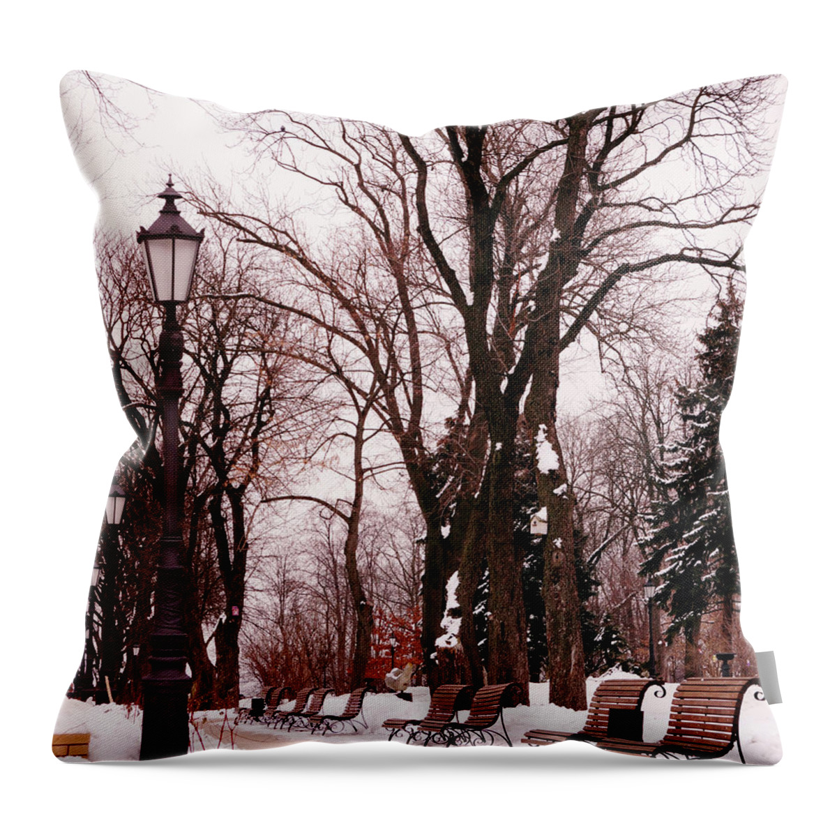 Kiev Throw Pillow featuring the photograph Winter rest by Sean Henderson