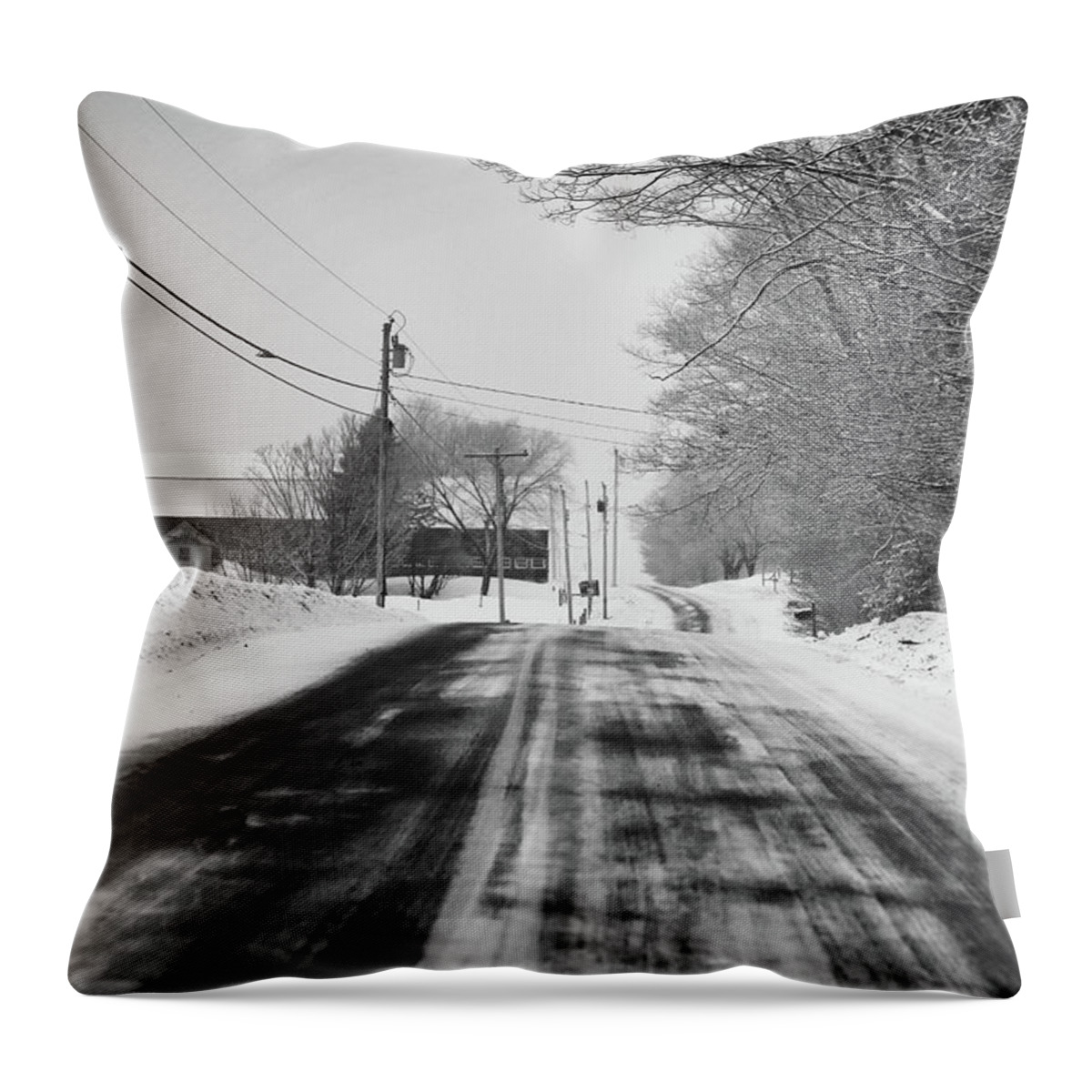Winter Throw Pillow featuring the photograph Winter Road--Mt. Vernon by John Meader