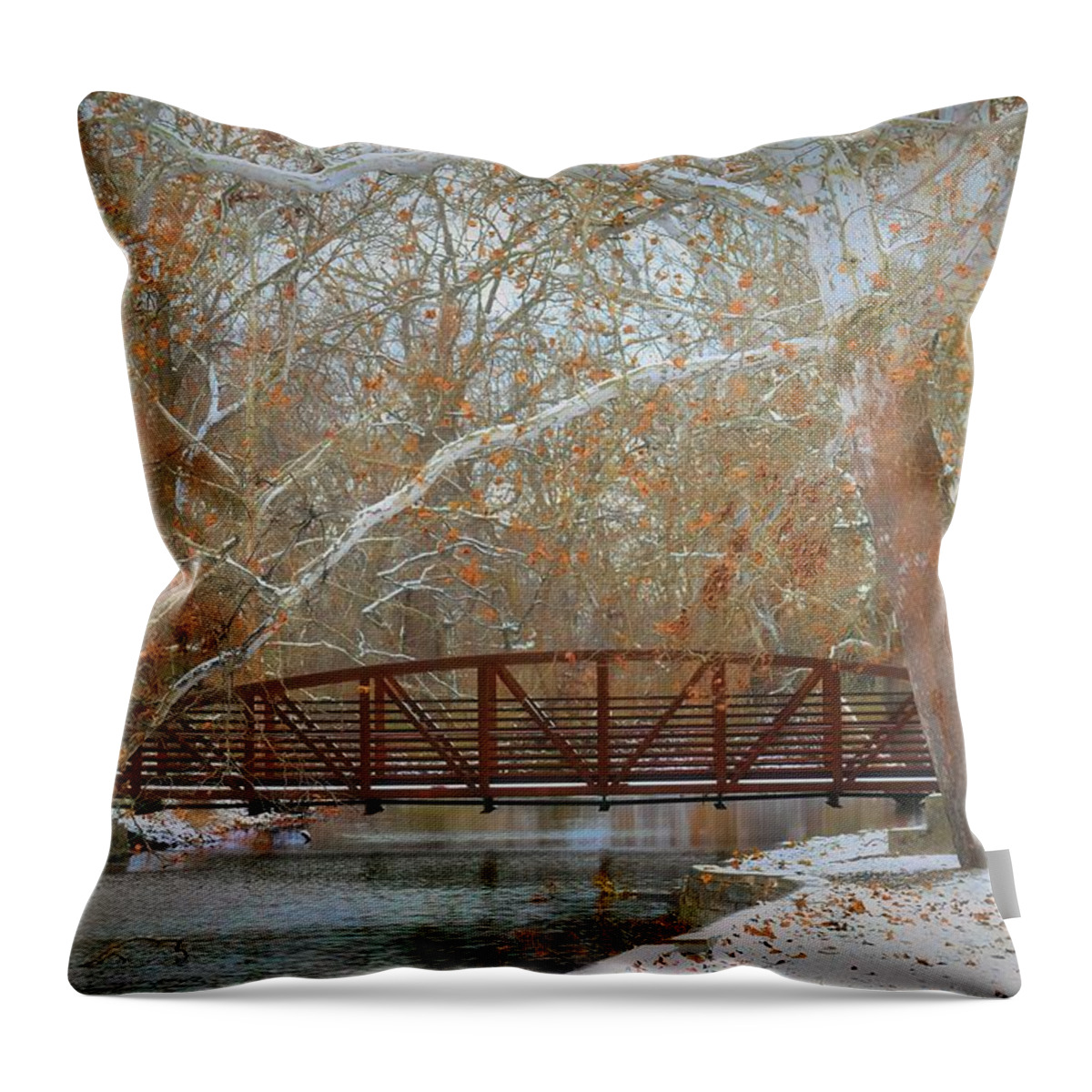  Throw Pillow featuring the photograph Winter Sycamores by Jack Wilson