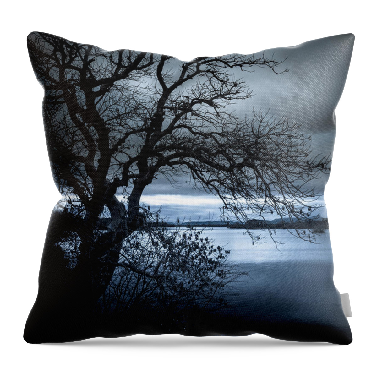 Tree Throw Pillow featuring the photograph Winter Tree by Mark Callanan