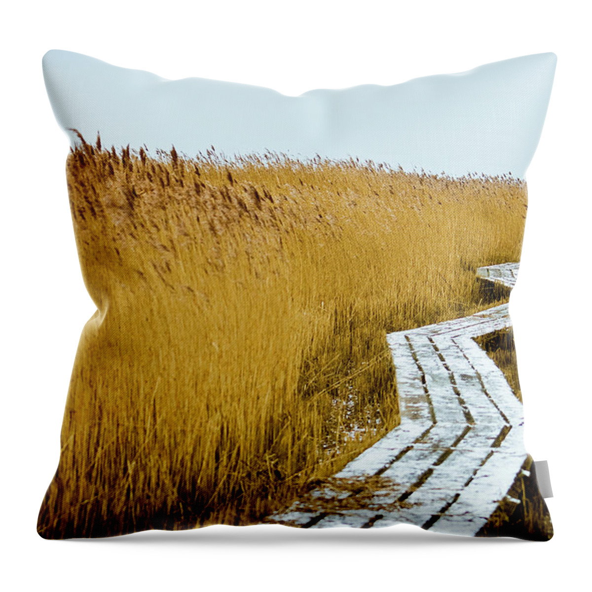 Grass Throw Pillow featuring the photograph Winter Zzz by Cristina Corduneanu