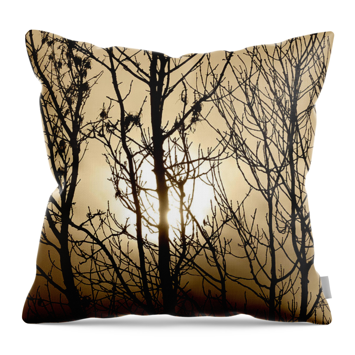 Into The Light Throw Pillow featuring the photograph Winter's Bone Inch Island Donegal Tint 2 by Eddie Barron