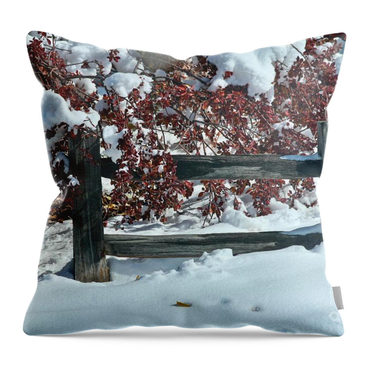 Snow Throw Pillow featuring the photograph Wintery Fall by Ann E Robson