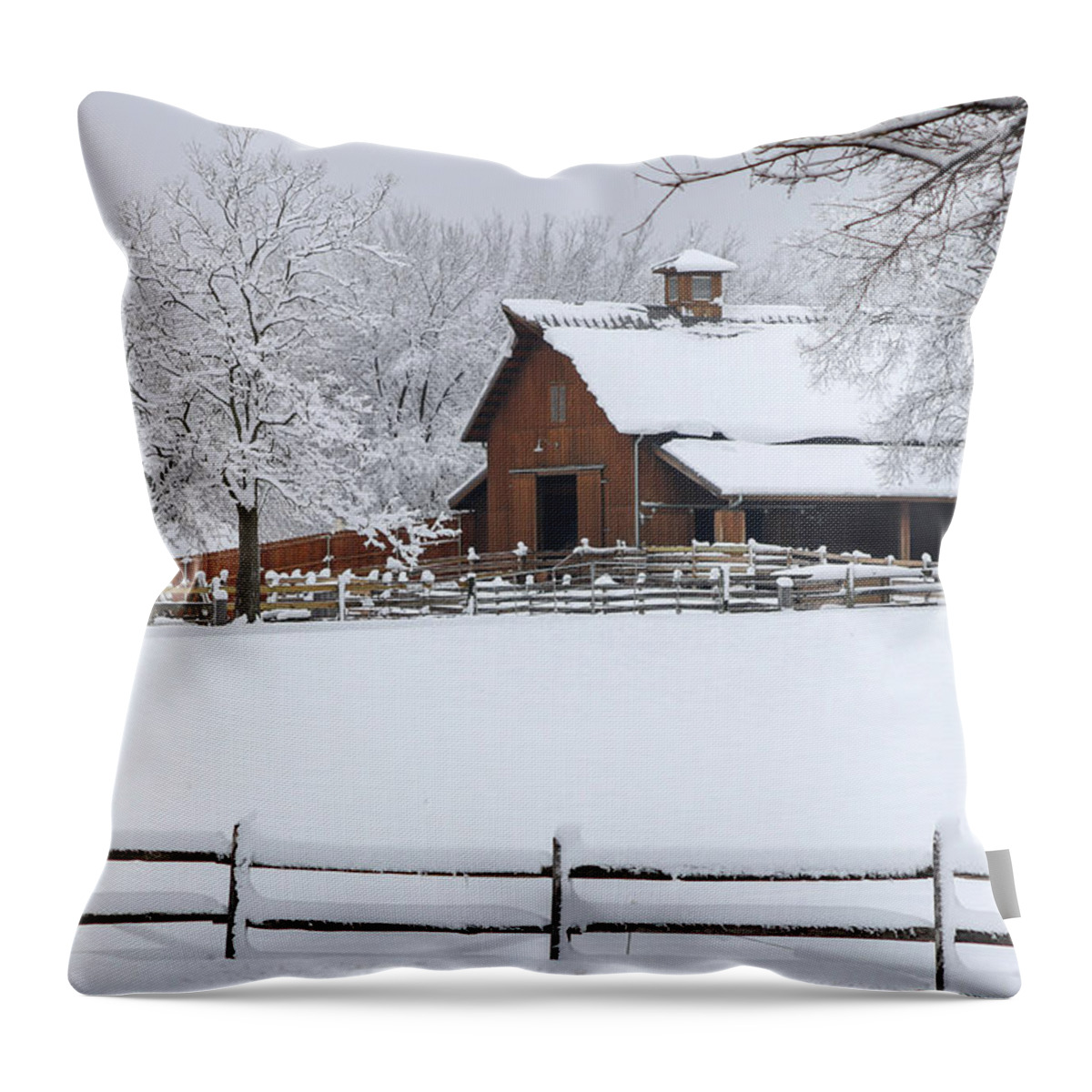 Kansas Throw Pillow featuring the photograph Wintry Barn by Mary Anne Delgado