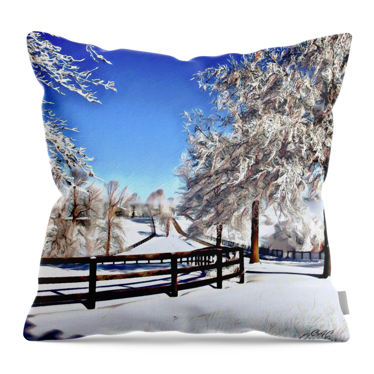 Snow Throw Pillow featuring the digital art Wintry Lane by CAC Graphics