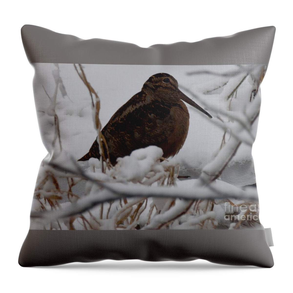 Woodcock Throw Pillow featuring the photograph Wishing I Was Down On The Bayou by Randy Bodkins