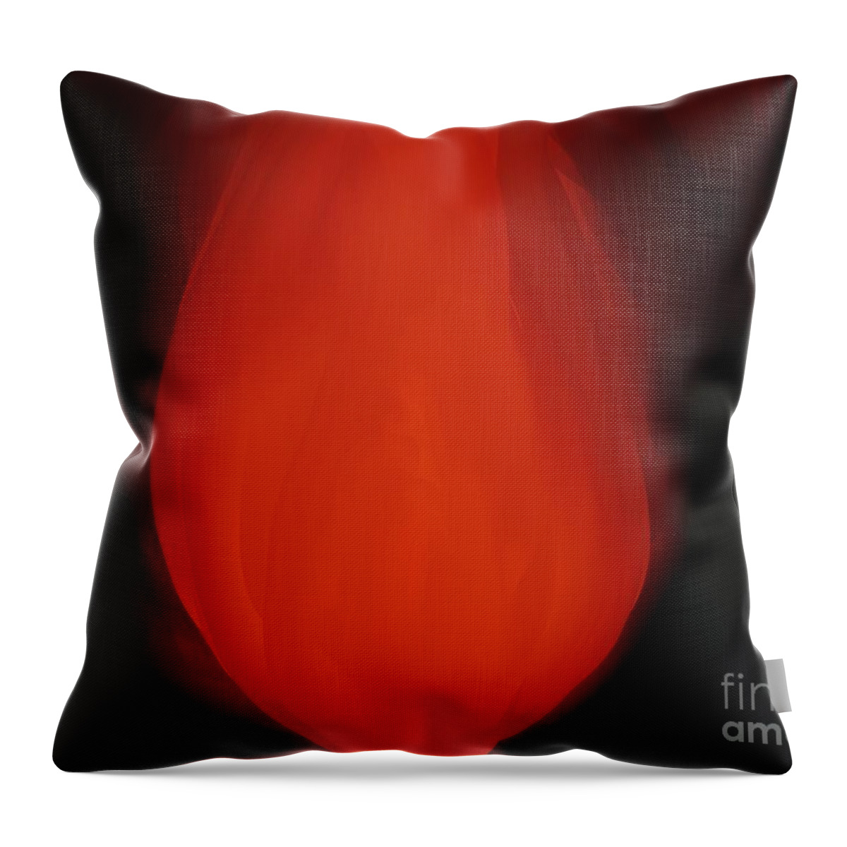 Orange And Black Art Throw Pillow featuring the painting Within The Flame by Roxy Riou