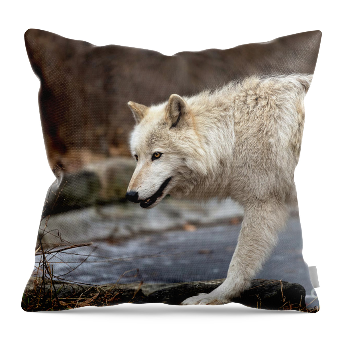Wolf Throw Pillow featuring the photograph Wolf on the move by Sam Rino