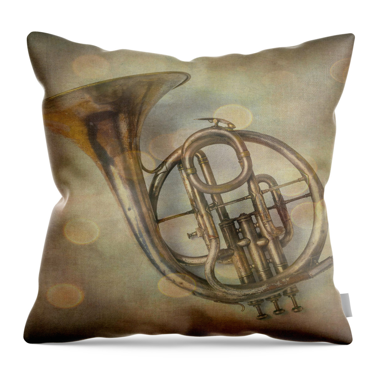 French Throw Pillow featuring the photograph Wonderful Old French Horn by Garry Gay