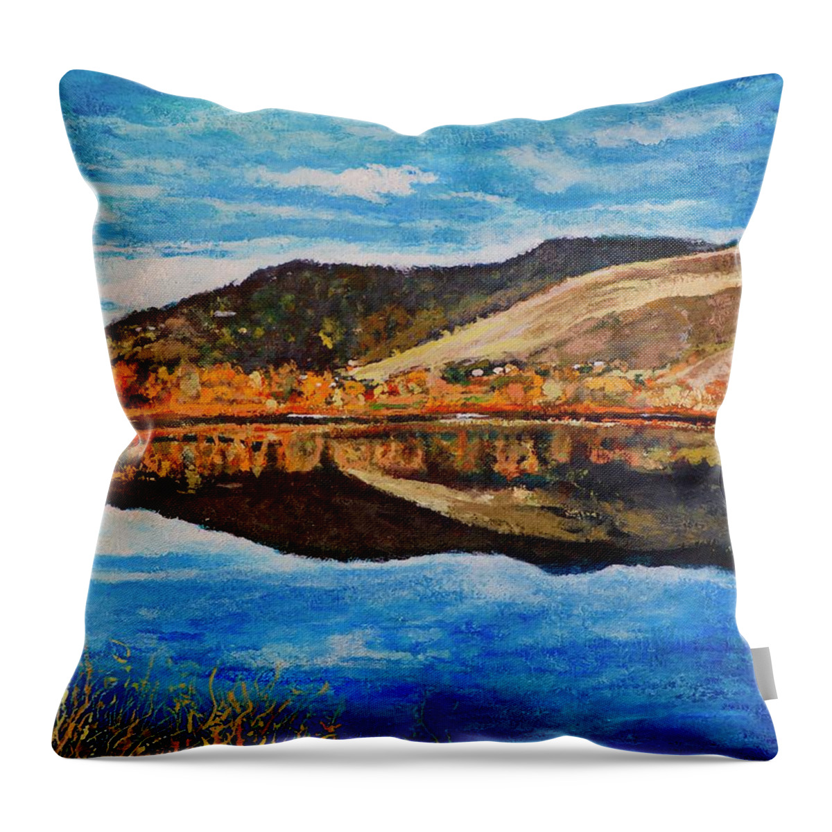 Boulder Throw Pillow featuring the painting Wonderland Lake by Tom Roderick