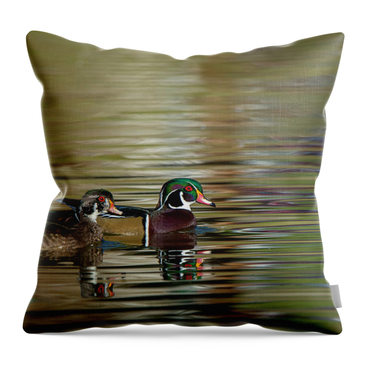 Wood Duck Throw Pillow featuring the photograph Wood Ducks by Rick Mosher