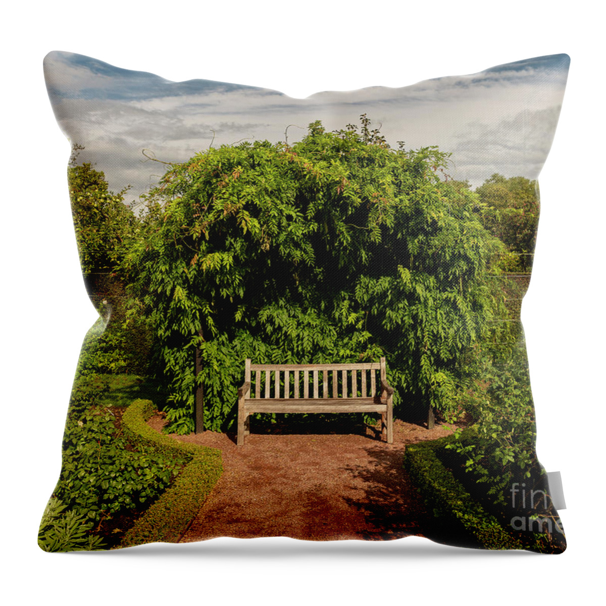 Hedge Throw Pillow featuring the photograph Wooden garden bench by Sophie McAulay