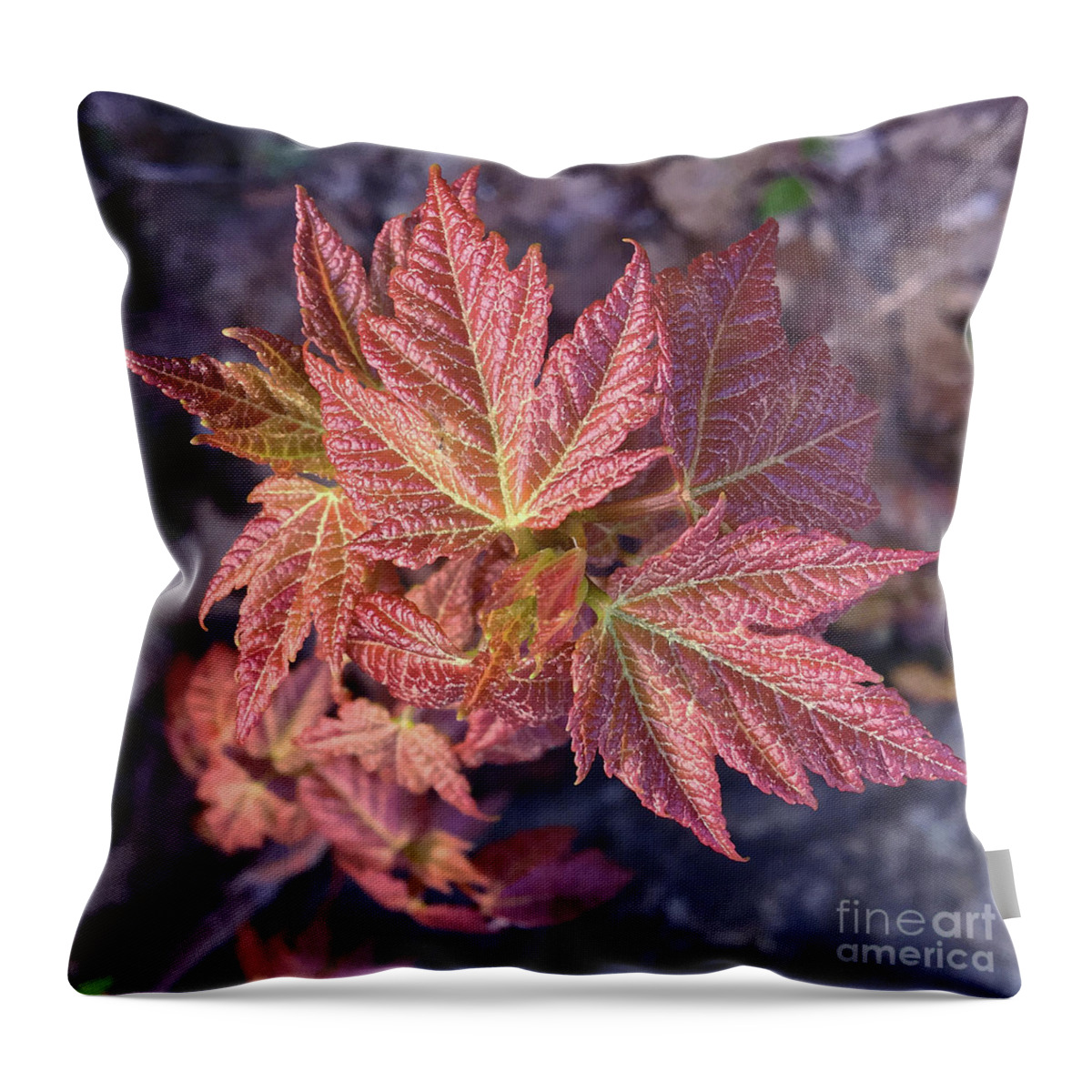 Photography Throw Pillow featuring the photograph Woodland 136 by Amy E Fraser