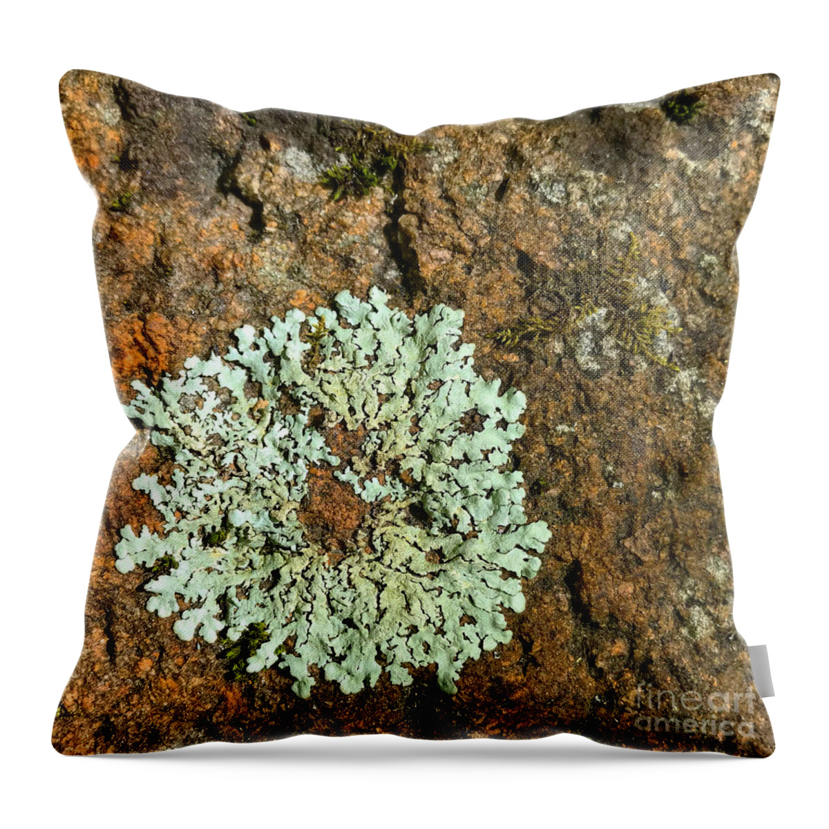 Photography Throw Pillow featuring the photograph Woodland 54 by Amy E Fraser